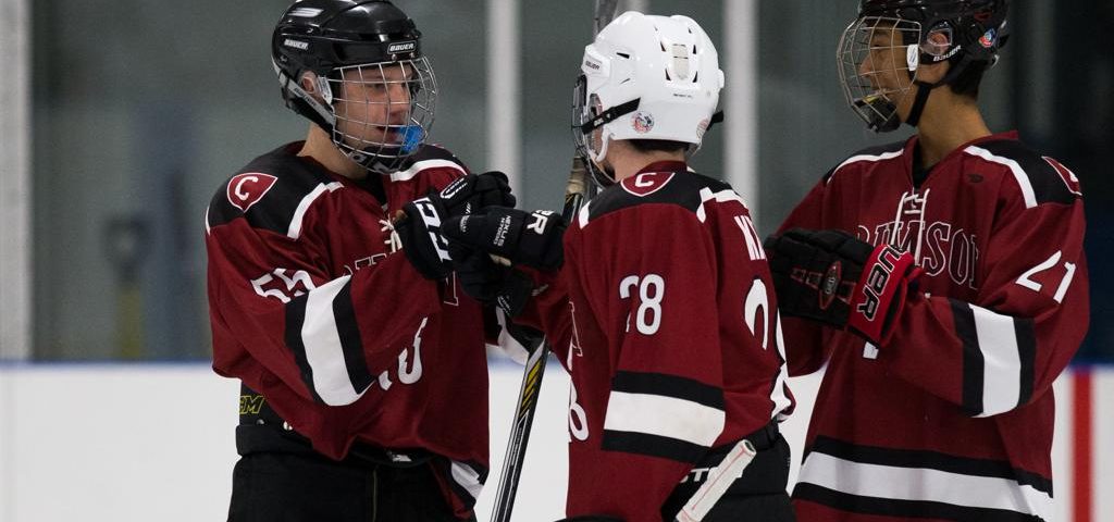 hockey training