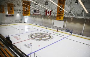 Practical Thoughts On Creating An Ice Hockey Stadium