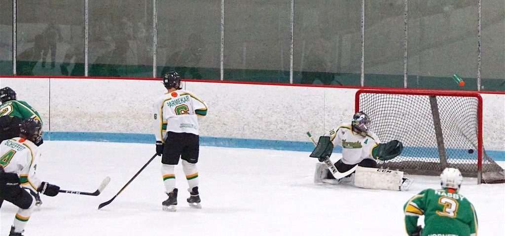 Youth Hockey