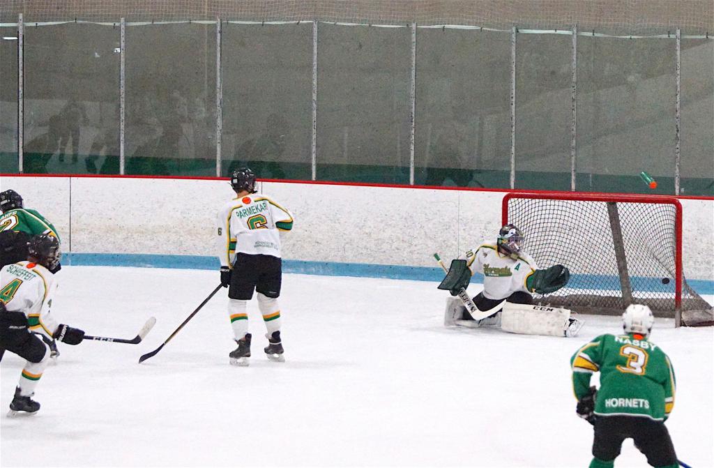 Ice Hockey Betting Predictions and Tips Bandypiter