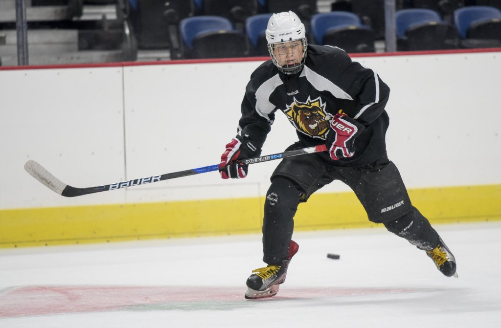 Training Tips And Elite Workout Routine For Hockey Players